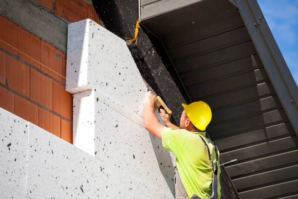 Best Commercial Insulation Services  in Austin, AR